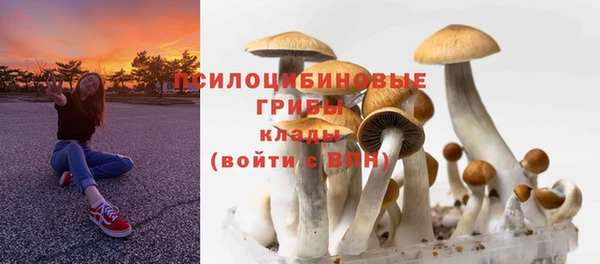 МДПВ Лиски