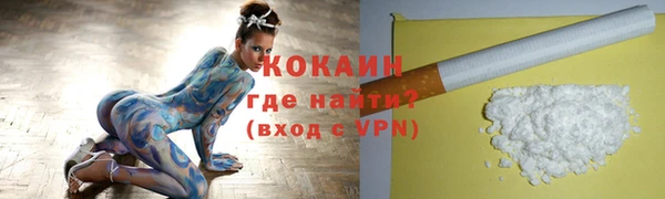 МДПВ Лиски