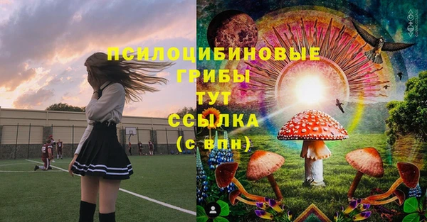 молекула духа Липки