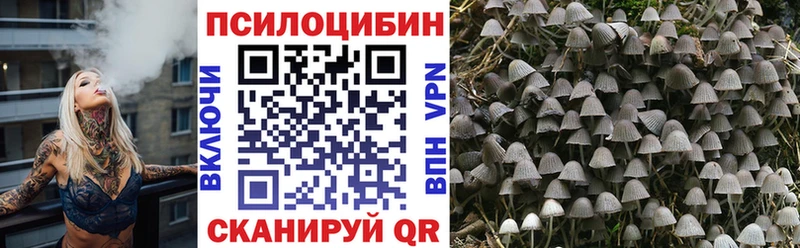 Псилоцибиновые грибы мухоморы  Купить где  Миньяр 